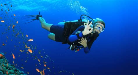 Bohol Diving Packages PADI Adventure Dive Starts at ₱3,750