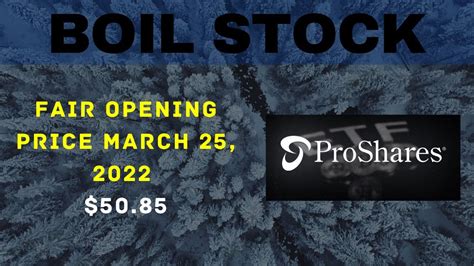 Boil stock forecast. Things To Know About Boil stock forecast. 
