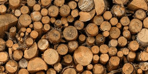 Bois & design dans le mobilier