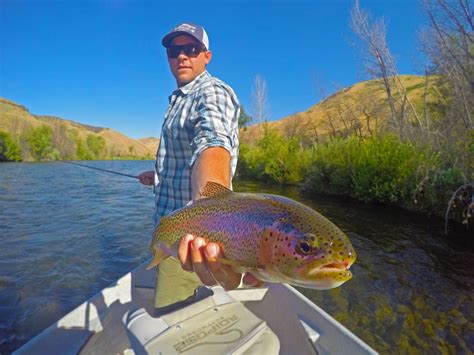 Boise River, Fly Fishing at its best in Western Idaho - TRR Outfitters