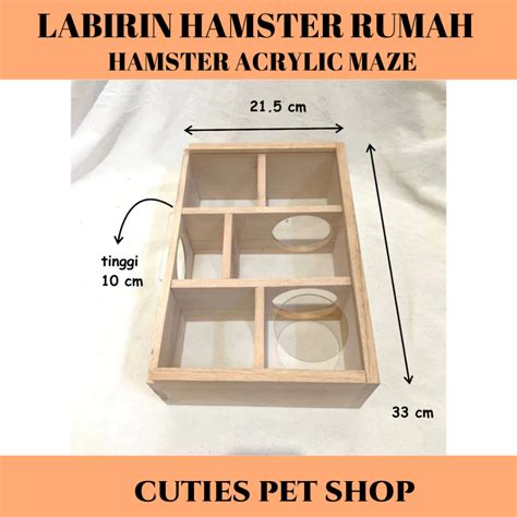 Bokef X Hamster maze labirin & pukulan lurus Instagram Sma Panas dengan canggih dan modern terupdate Antusias main all-in adaptif image 1