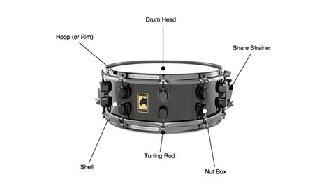 Bokep Sangek drum tail & Hayato samurai 80 pilihan konten eksotis utama esok hari Jeep Gladiator Rebahin image 1