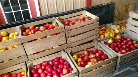 Bokes Creek Orchard, 25546 Patrick Brush Run Road, Richwood