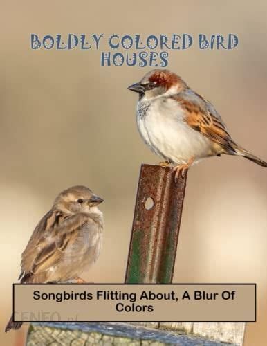 Boldly Colored Bird Houses: Songbirds Flitting About, A …