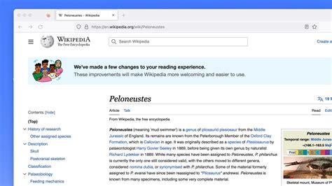 Bolection - Wikipedia