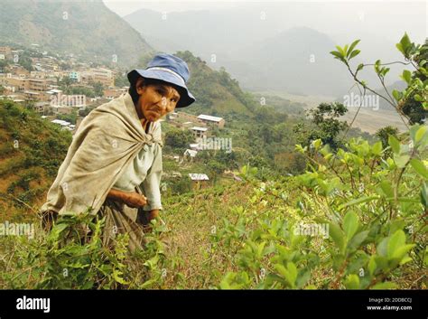 Bolivians have chosen Northern Virginia as a second home