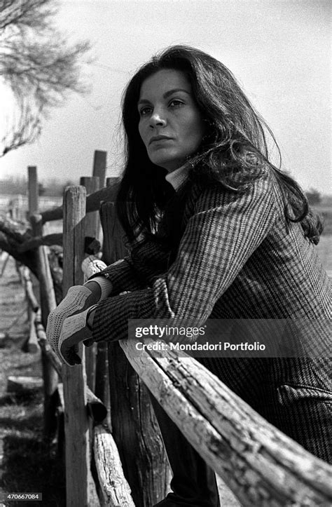 Bolkan Halı ve Koltuk Yıkama