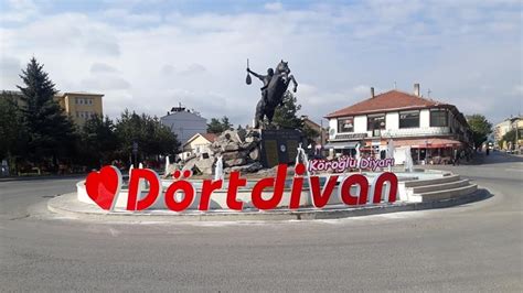 Bolu Dortdivan terapi halı yıkama