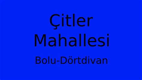 Bolu Dortdivan Citler Mahallesi terapi halı yıkama