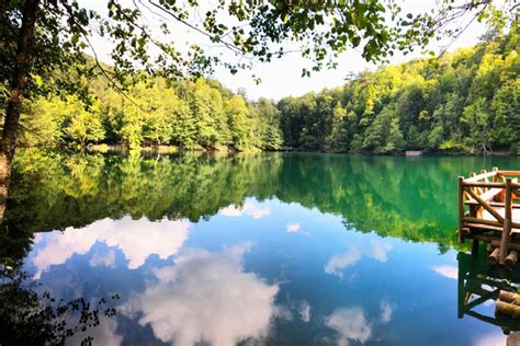 Bolu Gerede terapi halı yıkama