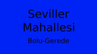 Bolu Gerede Seviller Mahallesi terapi halı yıkama