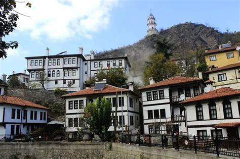 Bolu Goynuk Cuma Mahallesi terapi halı yıkama