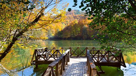 Bolu Merkez terapi halı yıkama