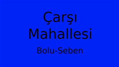 Bolu Seben Carsi Mahallesi terapi halı yıkama