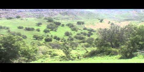 Bolukelma Halı ve Koltuk Yıkama