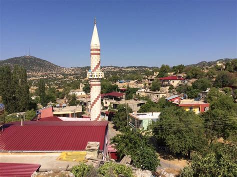 Bolyaran Halı ve Koltuk Yıkama