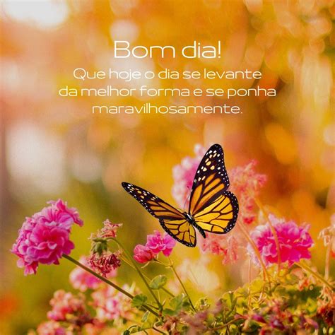 Bom dia frases. .  <a href=https://display.araboringen.nl/assets/images/zaov/index.php...