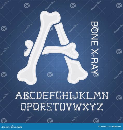 Bone Alphabet Stock Illustration Download Image Now Typescript