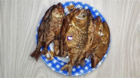 Bonga Fish, Best 14 Information - Farming Haven