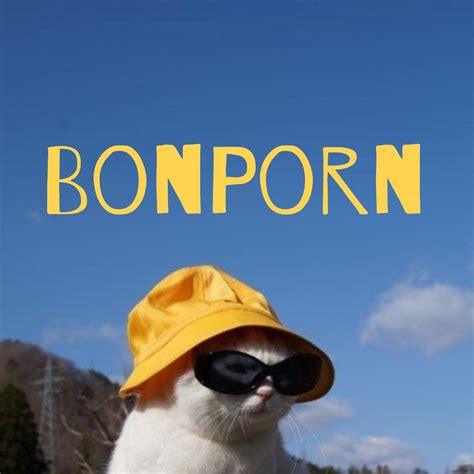 Sur Bonporn vous trouverez les meilleures baises et pipes d'Internet. Vidéos porno streaming de françaises qui se laissent ramonés leurs culs pour vous.