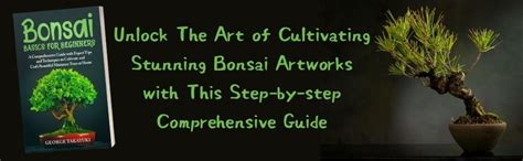 Bonsai Basics A Comprehensive Guide To Care And Cultivationbonsai A Beginners Guide