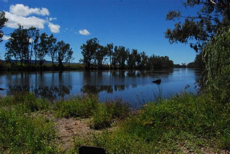 Bonshaw Weir - Department of Agriculture and Fisheries