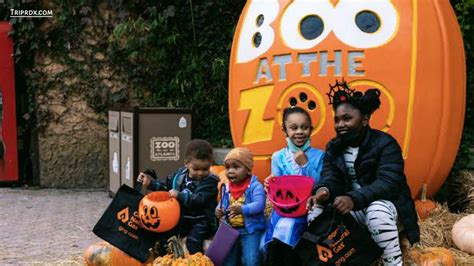 Boo at the Zoo - KC Parks and Rec