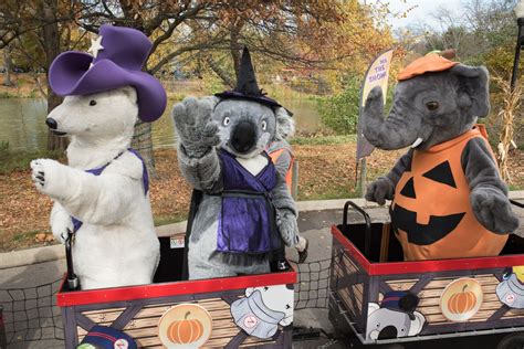 Boo at the Zoo returns to the Columbus Zoo and Aquarium on October 6th, 7th, and 8th, 2023, and every weekend throughout October. This annual, Halloween-themed event is a Central Ohio favorite. Bring your love for animals to celebrate Halloween in a unique way.. 