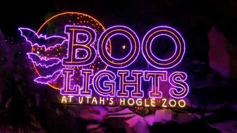 1.1K views, 51 likes, 7 loves, 15 comments, 9 shares, Facebook Watch Videos from Utah's Hogle Zoo: BooLights tickets are officially on sale! Tag your.... 
