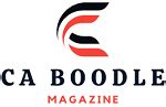 Magazines are published regularly (periodically). . Boodlemagazine