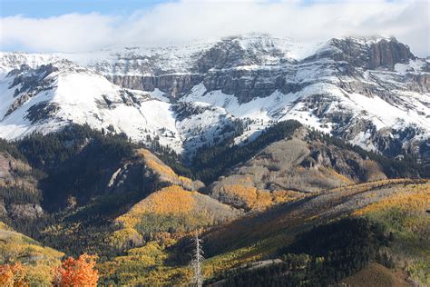 Book Online - Tellurides