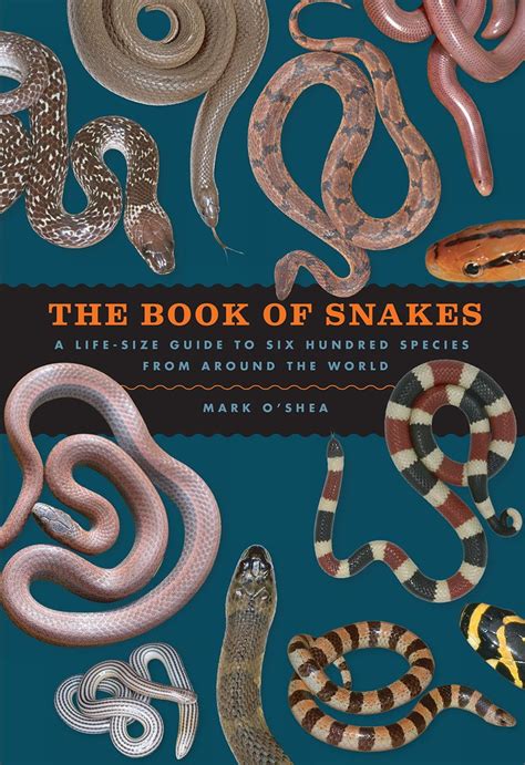 Book snakes. The Book of Snakes profiles 600 significant species from all 32 families—one in six of all known species—to create a beautiful collector’s piece that is both a significant resource … 