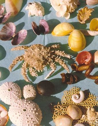 Read Book Of Shells A Shell Game By Cecile E Mactaggart