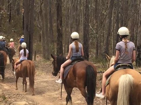 Boomerang Ranch - Camping - Daylesford - HERE WeGo