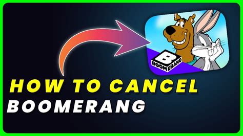 Boomerang subscription. Things To Know About Boomerang subscription. 