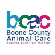 Boone county animal care & control adoption. Animal Services is a government owned and operated animal control facility, certified and inspected b. Home ; Cities; Countries ... He is our longest term resident, graduating from foster care to the shelter back in mid August. He is a very playful cat but can be very standoffish when you first meet him. ... Boone County Animal Services is open ... 