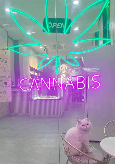 Boopyouonthenose Onlyfans Leak +18 163 Pics