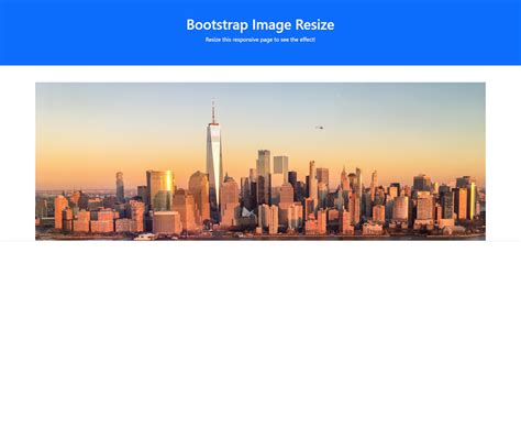 Bootstrap image size.  Nov 17, 2025 · Learn how to use the img-fluid class in Boo...