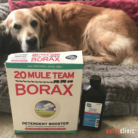 Dilute ½ cup 3% hydrogen peroxide in 1 cup of water, and add 2 tsps borax. Rinse your dog with this solution 2-3 times daily for 1 week. Apply to all areas of your dog, even those not affected by mange. Avoid the eyes, ear canals, and mouth. Step.. 