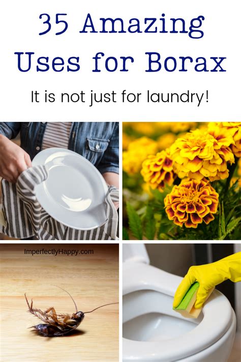 Borax in food. Things To Know About Borax in food. 
