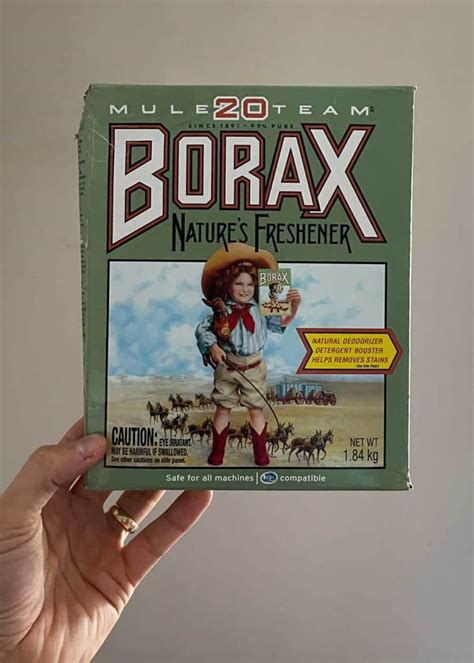 Borax to kill roaches. 6. Kill Roaches with Borax. Grade: B+. There’s one more super-powered powder that’s easy to find, easy to use and effective as heck: borax. Use this laundry product as one ingredient in a variety of roach-killing recipes, from sugar and borax to cocoa dusts and borax balls. Check ’em all out here! 7. Cornstarch Plus Plaster of Paris. Grade: B 