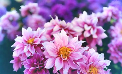 Bordentown funeral home obituaries. .  ...