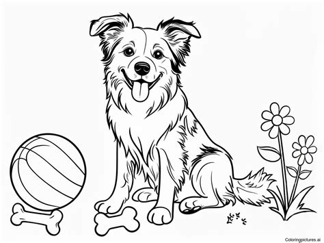 Border Collie Coloring Pages
