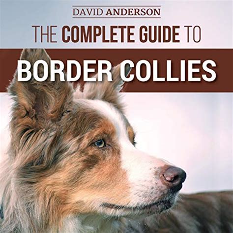 Border collie puppies the complete guide to border collies. - Barbey d'aurevilly documents # 4, techniques romanesques/ lettres a botitn-desylles.