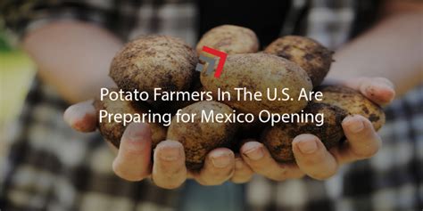 Borderlands: US potato farmers preparing for Mexico opening