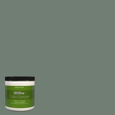 Boreal N420-5 Behr Paint Colors