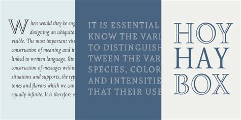 Borges Font Webfont & Desktop MyFonts