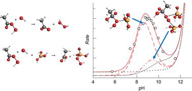 Boric acid catalysed hydrolysis of peroxyacids - RSC Advances …