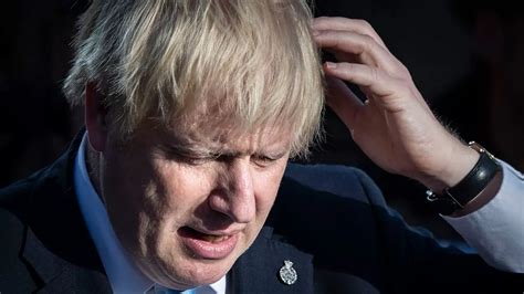 Boris Johnson asked scientists if COVID could be killed by hairdryer up nose, ex-aide claims
