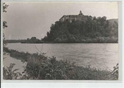 Borl&eacute;e family - Wikipedia